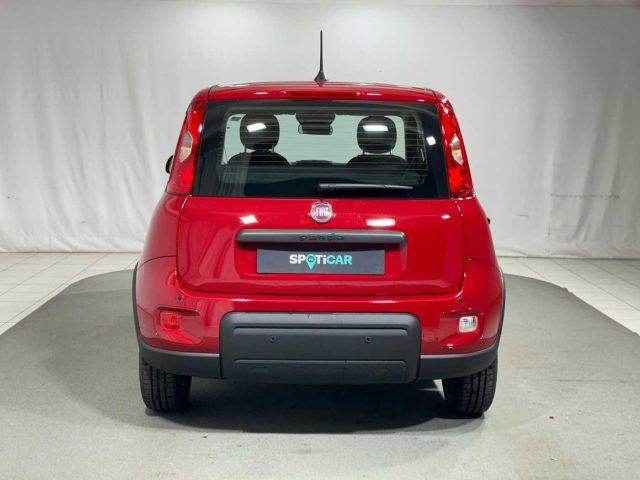 FIAT Panda 1.0 FireFly S&S Hybrid Immagine 3