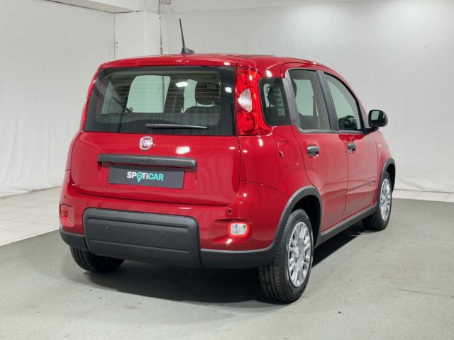 FIAT Panda 1.0 FireFly S&S Hybrid Immagine 4