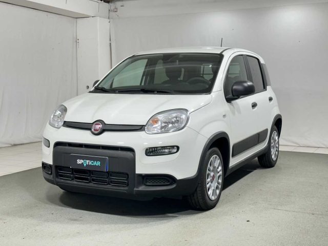 FIAT Panda 1.0 S&S Hybrid Van 4 posti Immagine 0