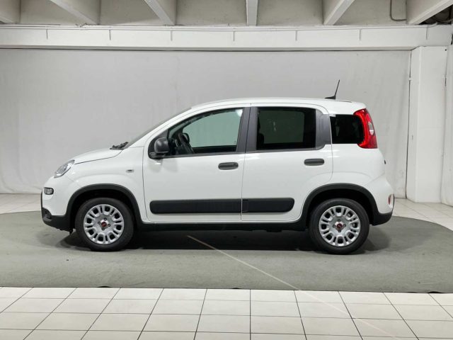 FIAT Panda 1.0 S&S Hybrid Van 4 posti Immagine 1