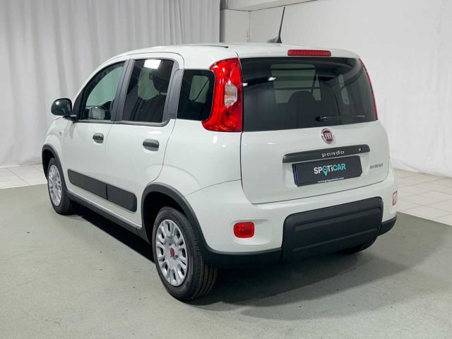 FIAT Panda 1.0 S&S Hybrid Van 4 posti Immagine 2