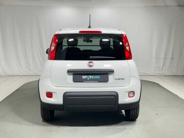 FIAT Panda 1.0 S&S Hybrid Van 4 posti Immagine 3