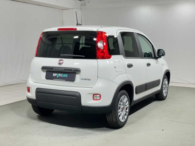 FIAT Panda 1.0 S&S Hybrid Van 4 posti Immagine 4