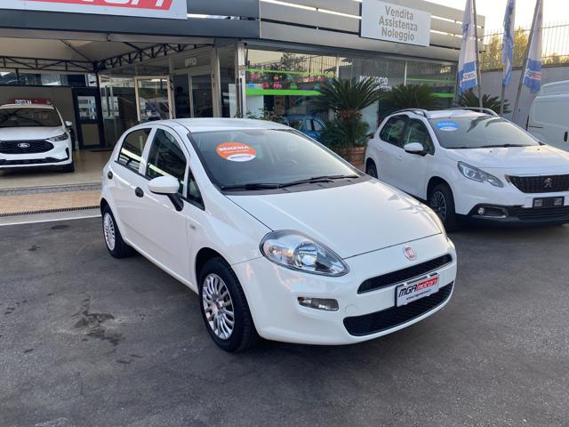 FIAT Punto 1.2 8V 5 porte Street Immagine 4