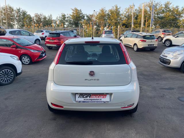 FIAT Punto 1.2 8V 5 porte Street Immagine 3