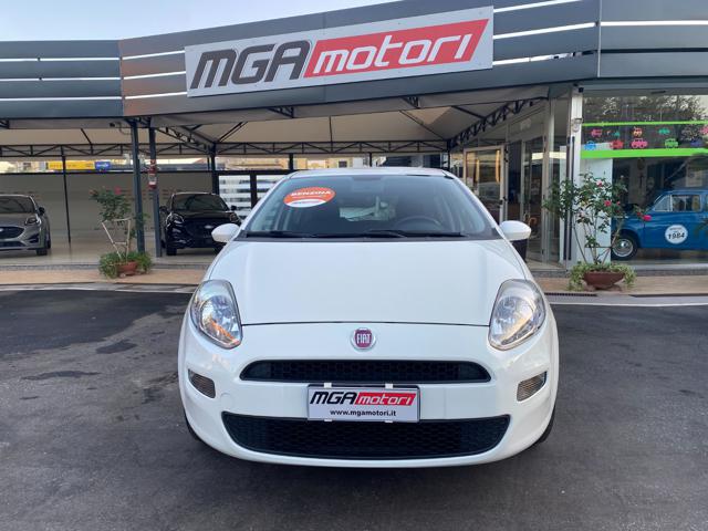 FIAT Punto 1.2 8V 5 porte Street Immagine 2