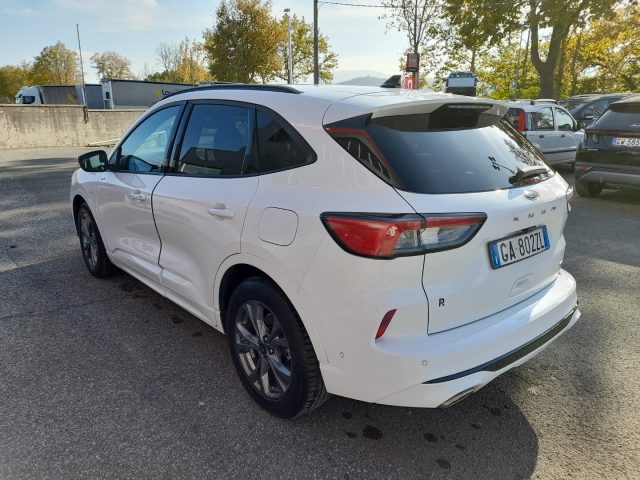 FORD Kuga 2.5 Plug In Hybrid 225 CV CVT 2WD ST-Line X Immagine 3