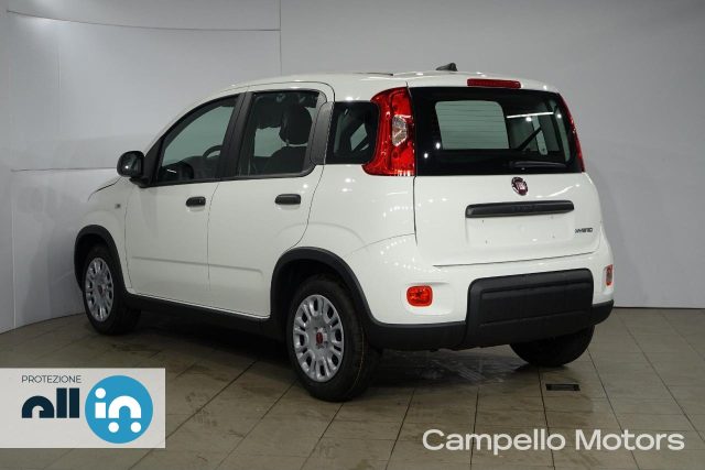 FIAT Panda Panda 1.0 70cv Hybrid Panda My23 Immagine 2