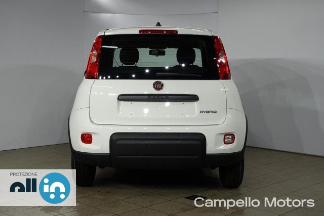 FIAT Panda Panda 1.0 70cv Hybrid Panda My23 Immagine 3