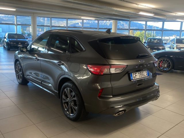 FORD Kuga 1.5 Diesel  120cv.  ST-Line , Km 59.000 Immagine 4