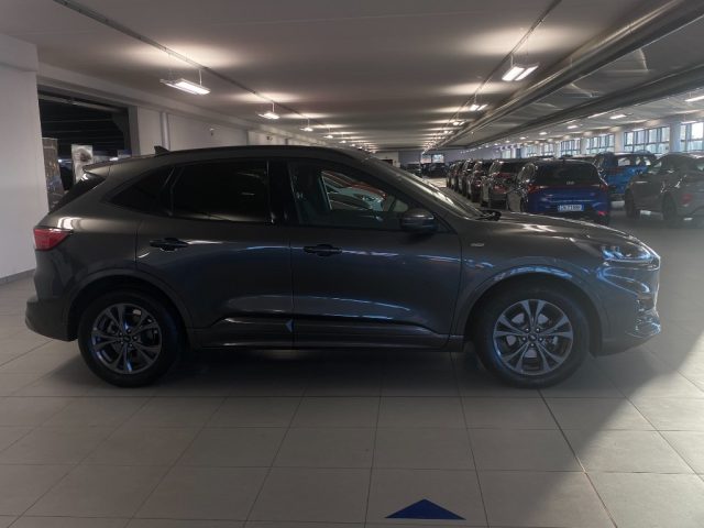 FORD Kuga 1.5 Diesel  120cv.  ST-Line , Km 59.000 Immagine 3