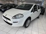 FIAT Punto 1.4 8V 5 porte Natural Power Street