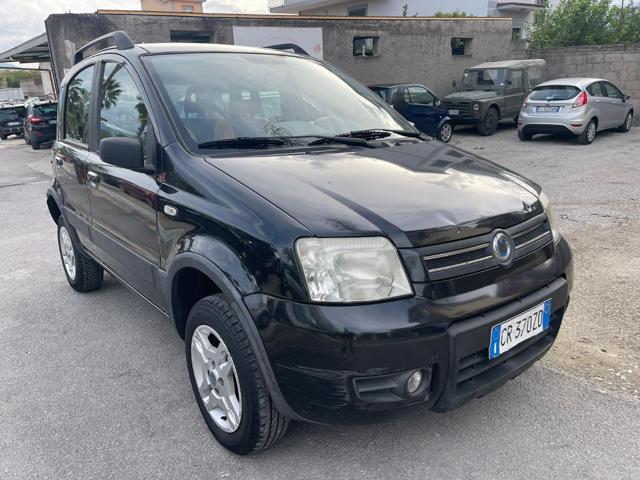 FIAT Panda 1.2 4x4 Climbing Immagine 2