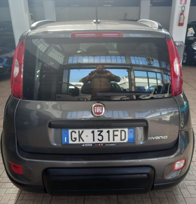 FIAT Panda 1.0 FireFly S&S Hybrid City Life Immagine 2