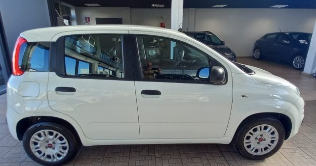 FIAT Panda 1.2 Easy Immagine 3