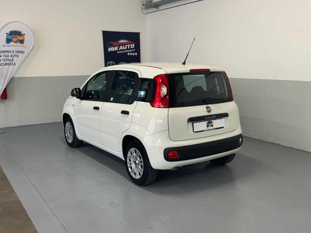 FIAT Panda 1.2 Easy Immagine 3