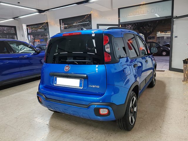 FIAT Panda Cross 1.0 FireFly S&S Hybrid Immagine 3