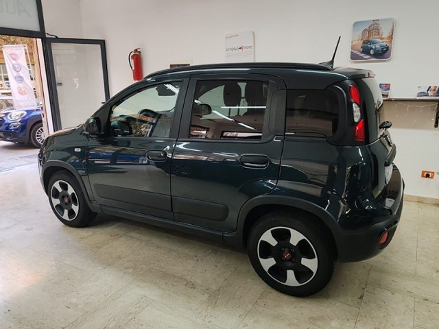 FIAT Panda Cross 1.0 FireFly S&S Hybrid Immagine 3