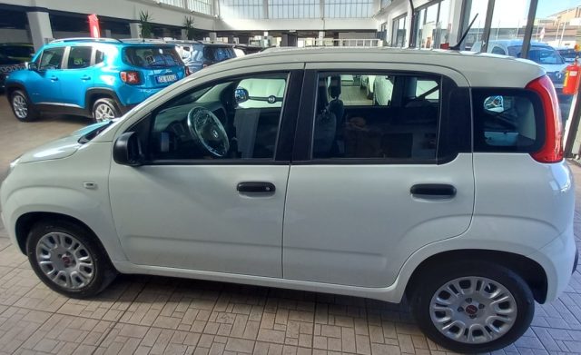 FIAT Panda 1.2 Easy Immagine 1