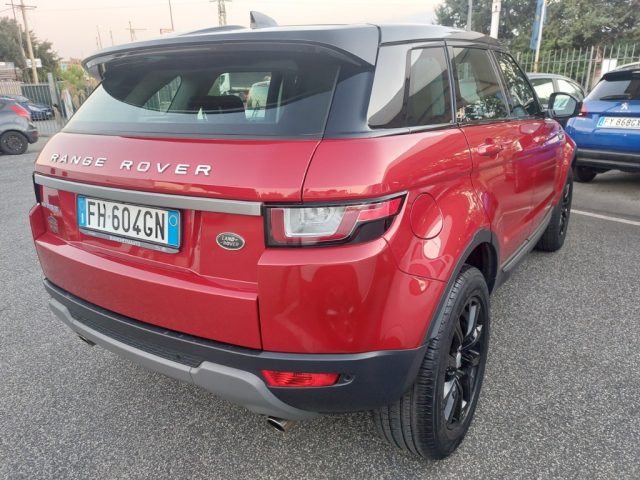 LAND ROVER Range Rover Evoque 2.0 TD4 150 CV 5p. Pure km 59000 Immagine 3