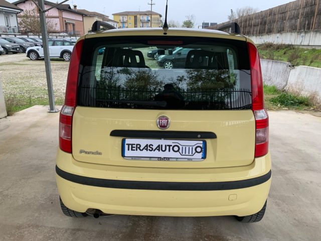 FIAT Panda 1.2 Dualogic AUTOMATICA NEOPATENTATI Immagine 3