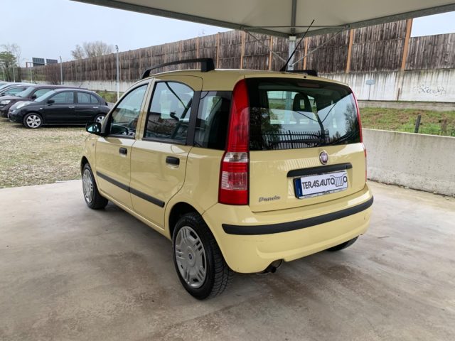 FIAT Panda 1.2 Dualogic AUTOMATICA NEOPATENTATI Immagine 4