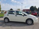 FIAT Punto 1.4 8V 5 porte Easypower Street GPL