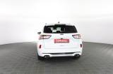 FORD Kuga Kuga 2.0 EcoBlue 120 CV aut. 2WD ST-Line