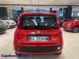 FIAT Panda 1.0 FireFly S&S Hybrid+5 posti--7.250KM