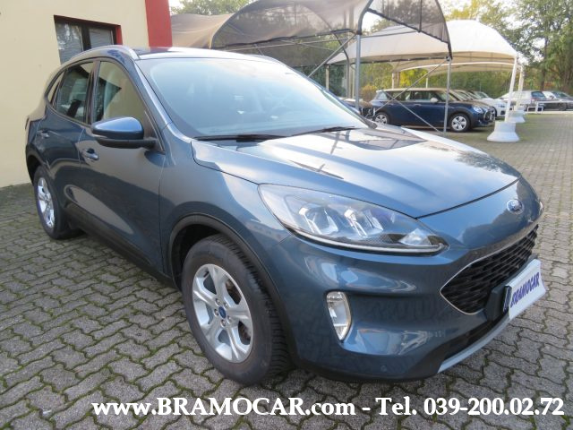 FORD Kuga 1.5 EcoBlue 120cv 2WD CONNECT - NAVI - C.LEGA 17'' Immagine 3