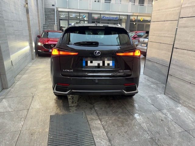 LEXUS NX 300h Hybrid 4WD Business Immagine 3