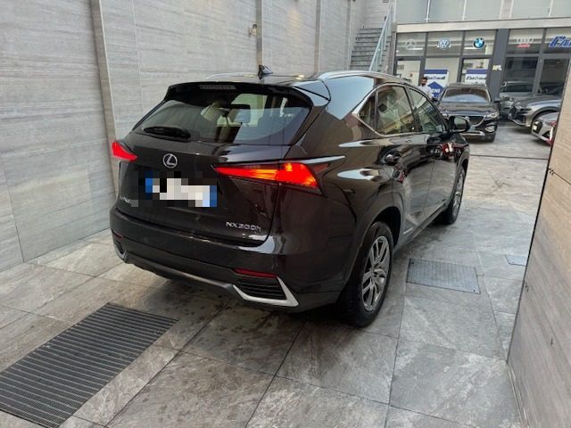 LEXUS NX 300h Hybrid 4WD Business Immagine 4