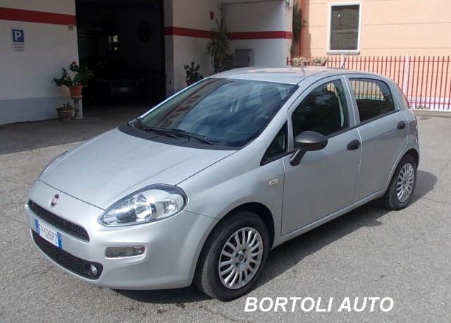 FIAT Punto 1.2 35.000 KM STREET IDONEA PER NEOPATENTATI Immagine 0