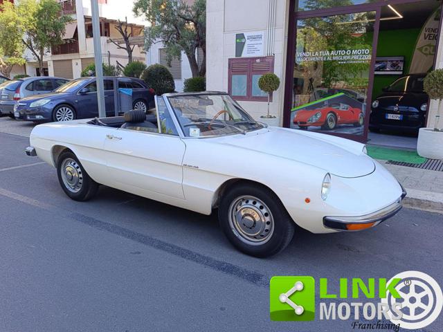 ALFA ROMEO Spider 1.6 Junior TARGA ORO Immagine 0