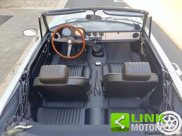 ALFA ROMEO Spider 1.6 Junior TARGA ORO Immagine 4