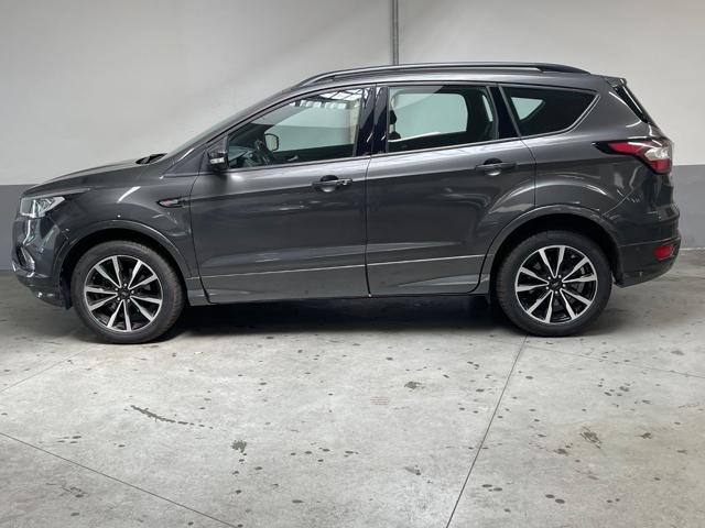 FORD Kuga 1.5 EcoBoost 120 CV S&S 2WD ST-Line Immagine 3