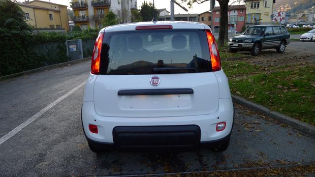 FIAT Panda 1.0 FireFly S&S Hybrid Pandina Immagine 3