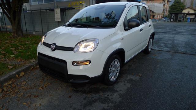 FIAT Panda 1.0 FireFly S&S Hybrid Pandina Immagine 0