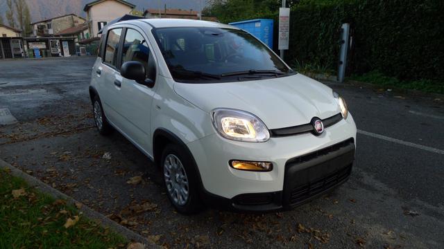 FIAT Panda 1.0 FireFly S&S Hybrid Pandina Immagine 2