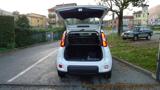 FIAT Panda 1.0 FireFly S&S Hybrid Pandina