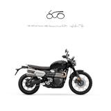 TRIUMPH Scrambler 1200X