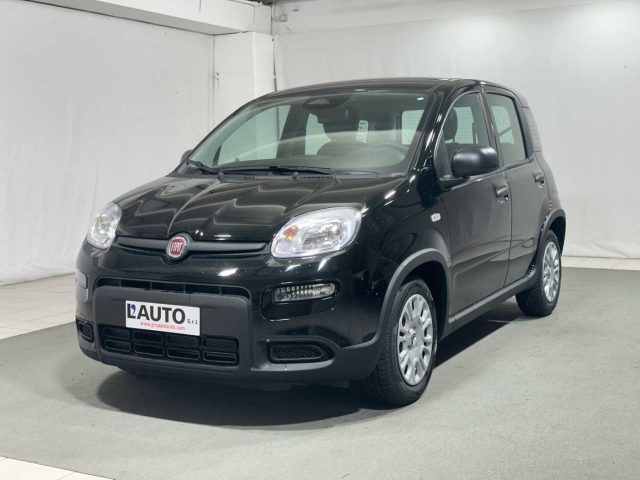 FIAT Panda 1.0 FireFly S&S Hybrid Immagine 0