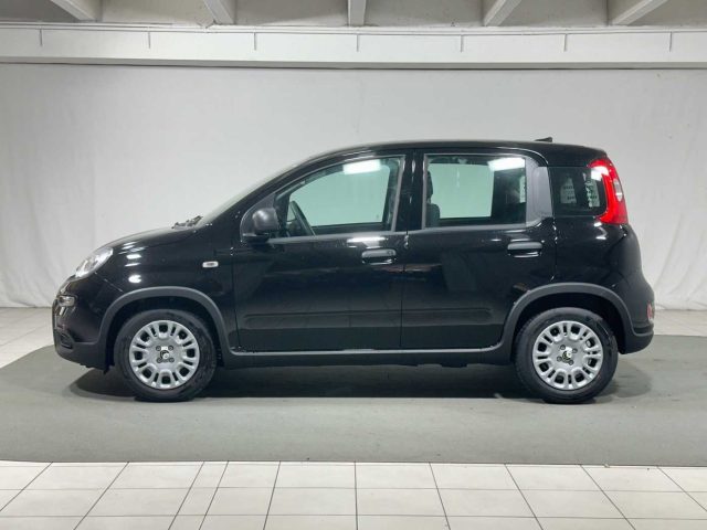 FIAT Panda 1.0 FireFly S&S Hybrid Immagine 1