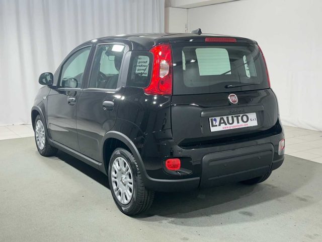 FIAT Panda 1.0 FireFly S&S Hybrid Immagine 2