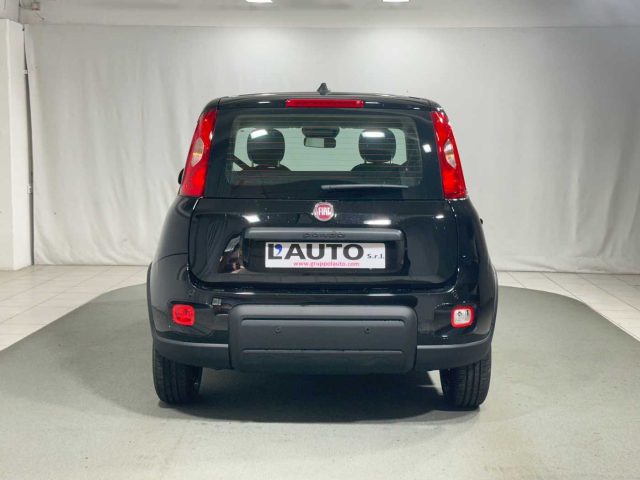 FIAT Panda 1.0 FireFly S&S Hybrid Immagine 3