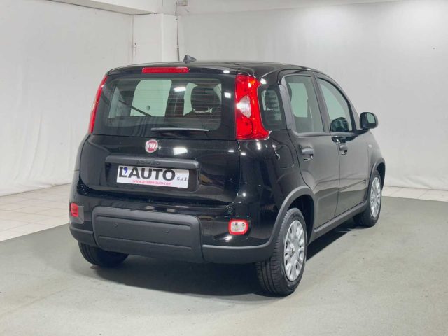 FIAT Panda 1.0 FireFly S&S Hybrid Immagine 4