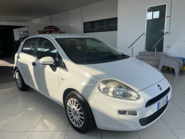 FIAT Punto 1.3 MJT II 75 CV 5 porte Easy Immagine 3