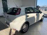 FIAT Punto 1.3 MJT II 75 CV 5 porte Easy