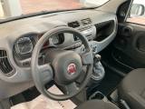 FIAT Panda 1.0 FireFly S&S Hybrid adatta ai neopatentati