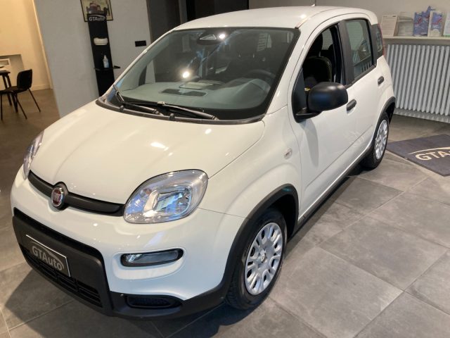 FIAT Panda 1.0 FireFly S&S Hybrid+pack city  PROMO GTAUTO Immagine 2